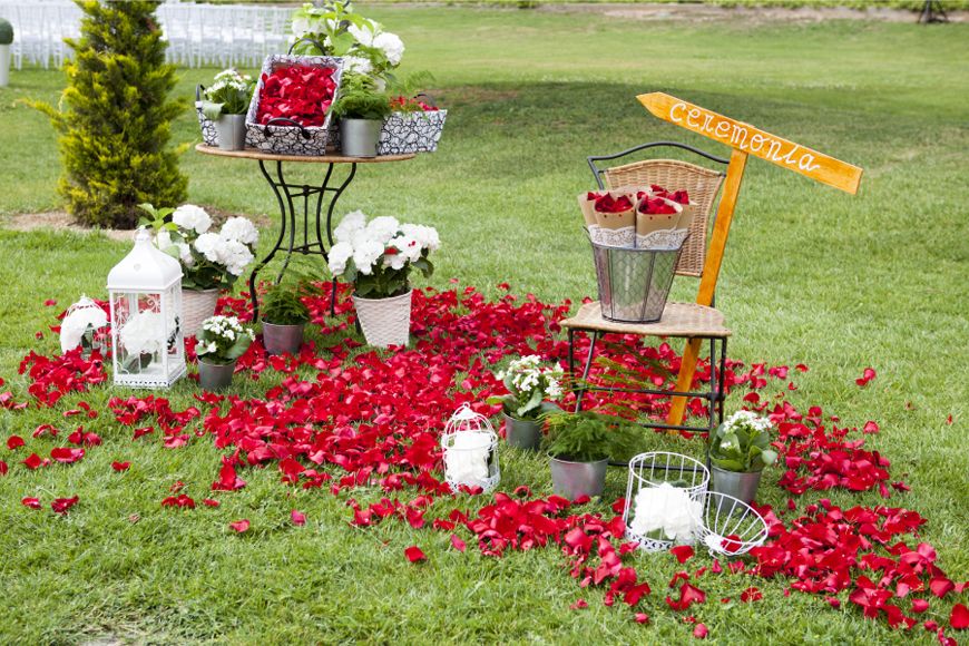 Ceremonia civil en Jardines Finca Prats alfombra de flores