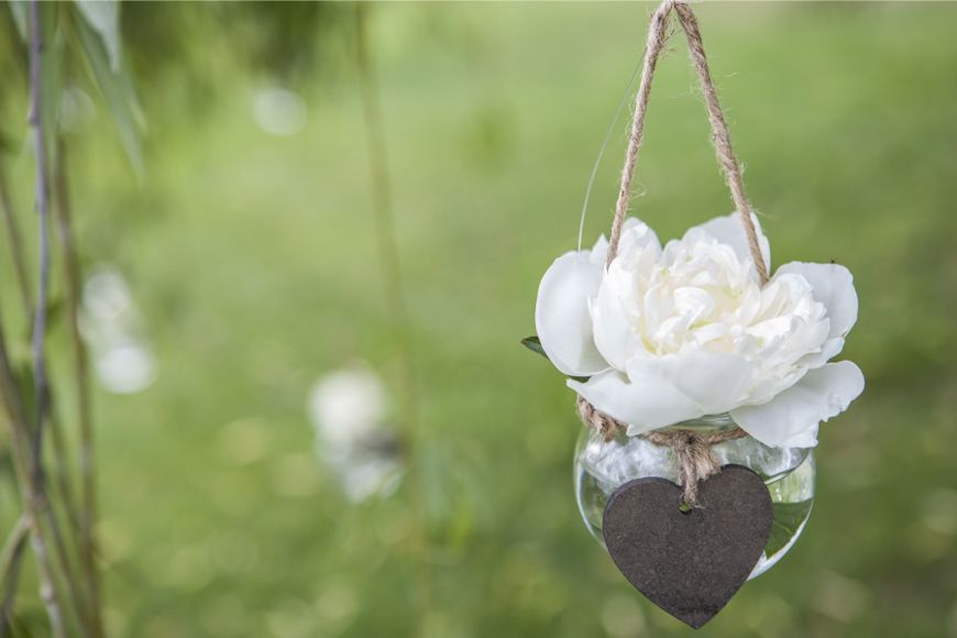 Detalle rosa con corazón