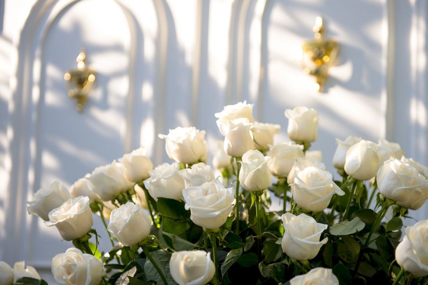 Jardines Finca Prats