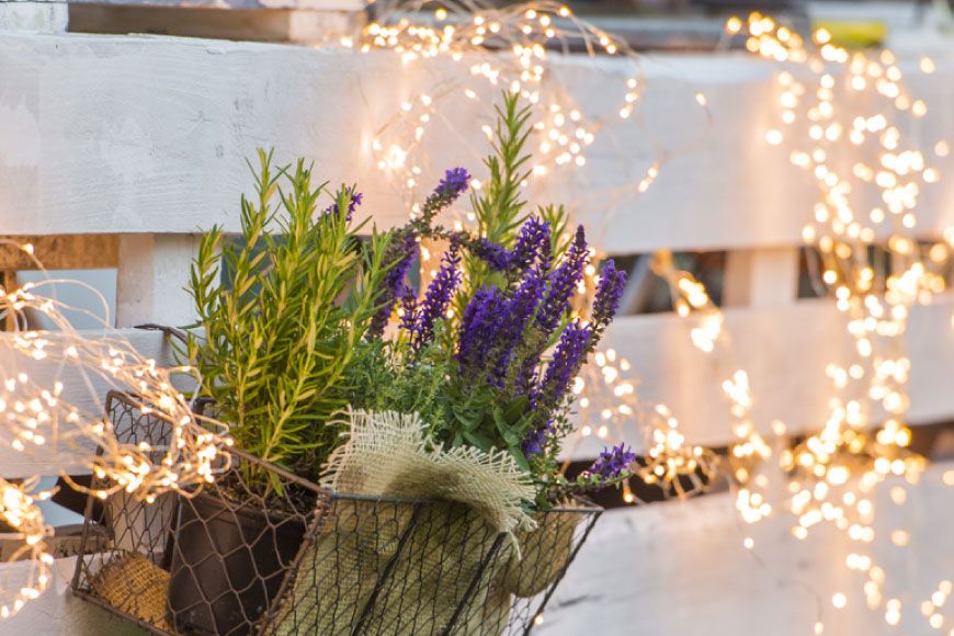Celebración en los jardines